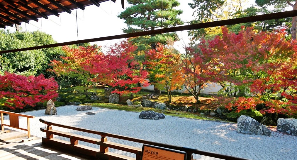 zen garden in Shokokuji with Beautiful Autumn Leaves