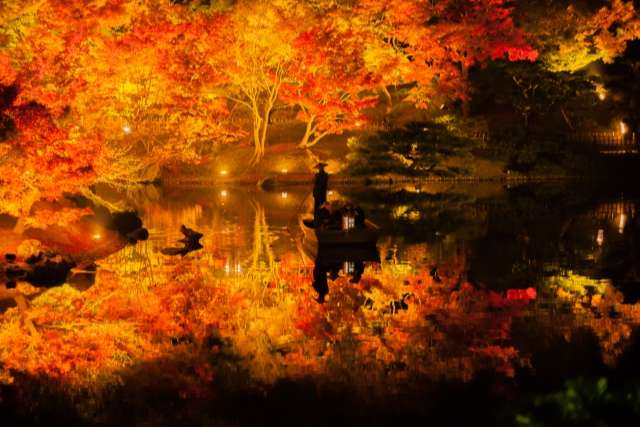Ritsurin Park lit up in fall